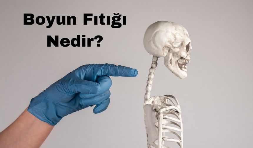 Boyun Fıtığı Nedir