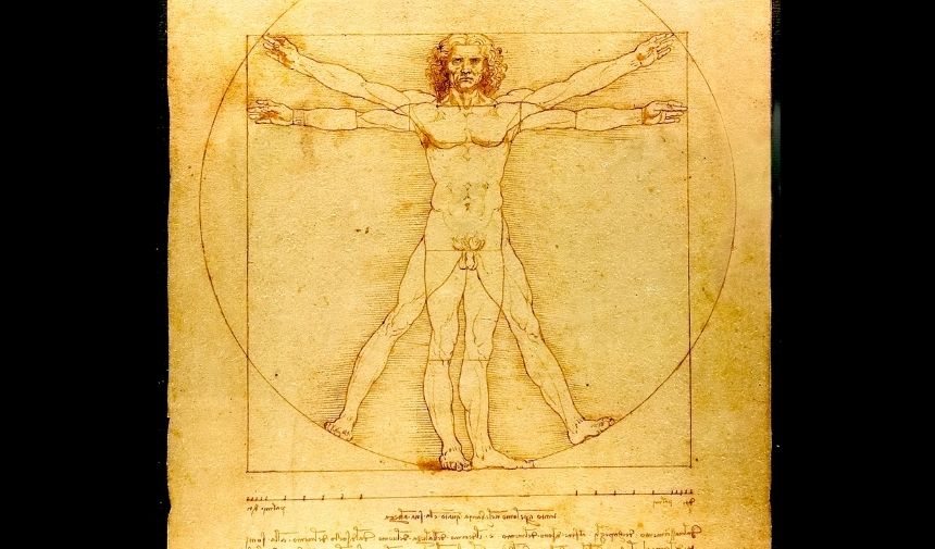 Leonardo Da Vinci Vitruvian Man Vitruvius Adamı