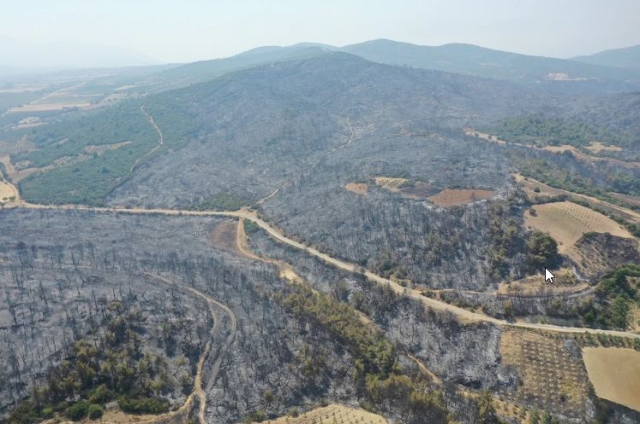 Manisa Dan Kahreden Goruntu Yesilliklerden 17729439 6450 M