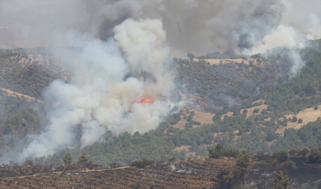 Mugla Kavaklidere Sinirina Yangin Ulasti 17729621 9633 M