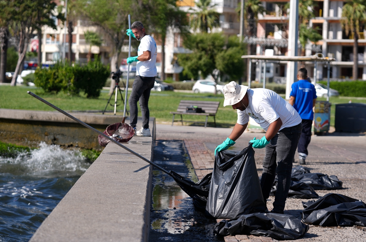 İzmir Körfezi Balık Incelemesi