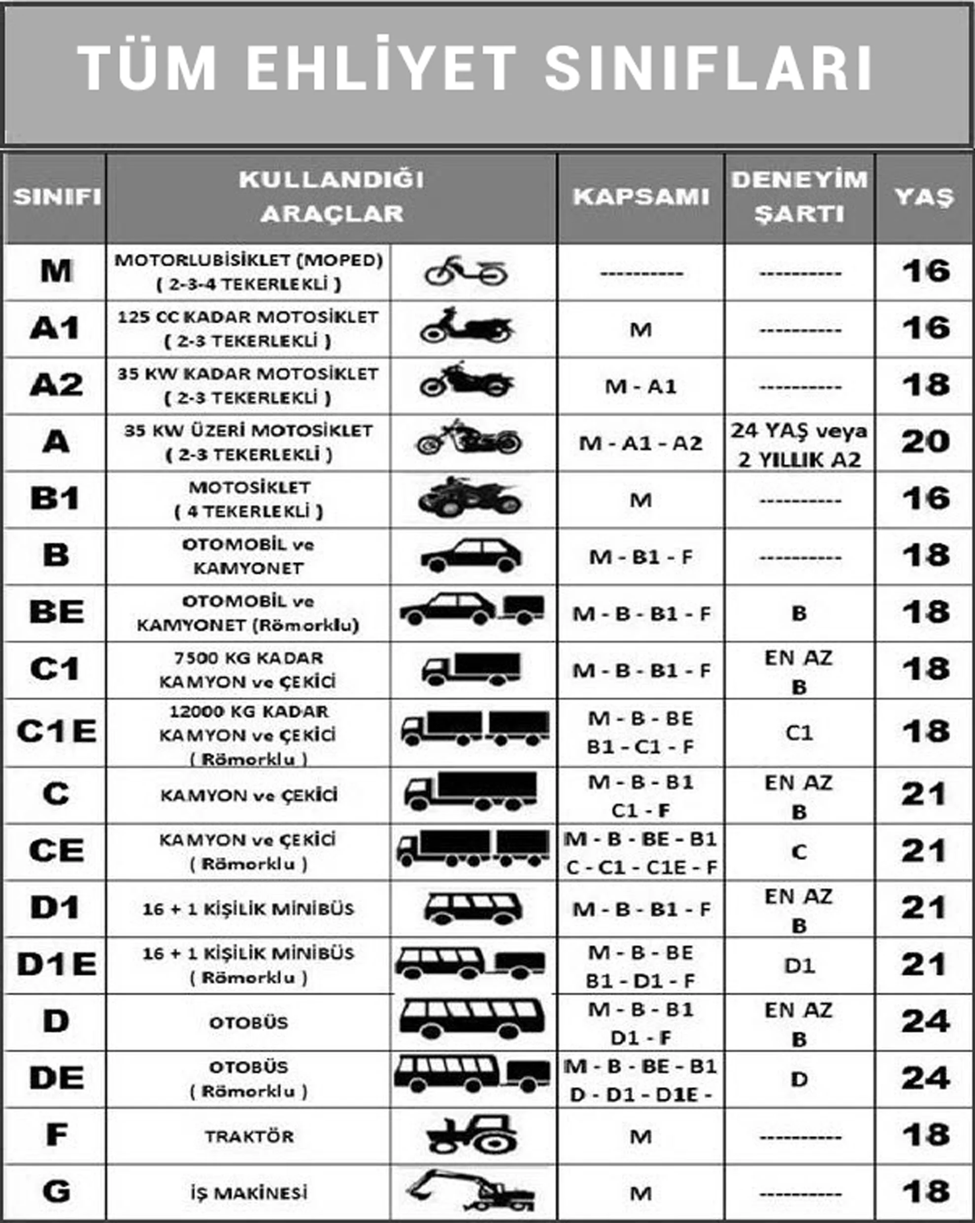 Ehliyet-5