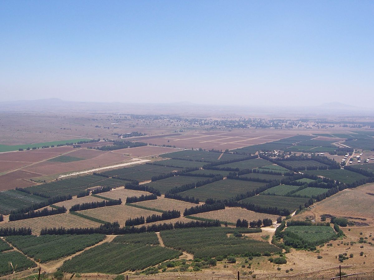 Golan Tarım