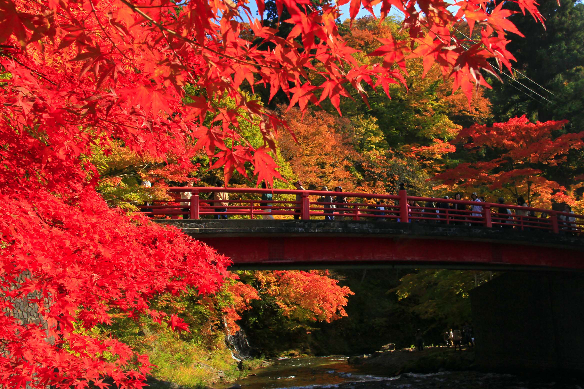 Japonya Sonbaharı