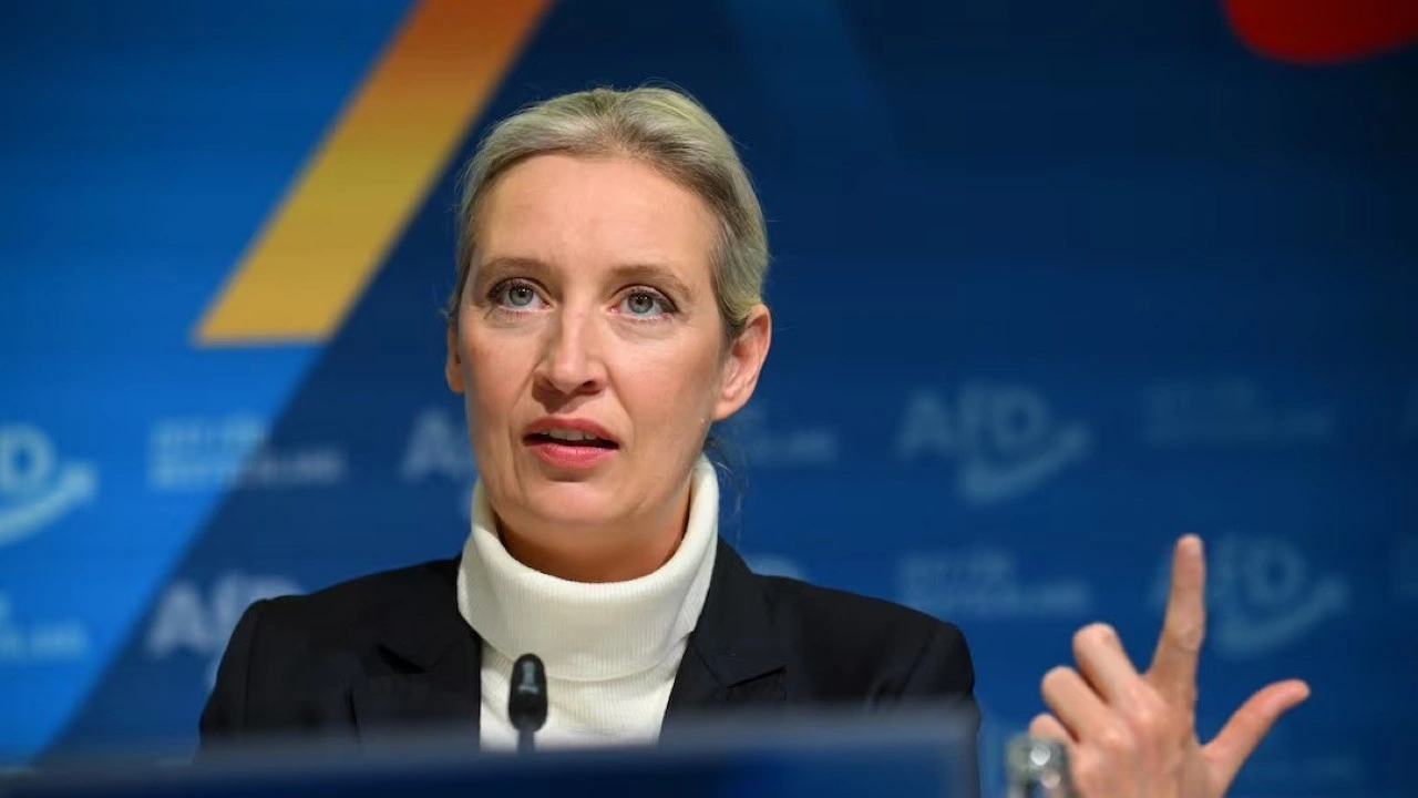 Almanya Afd Alice Weidel