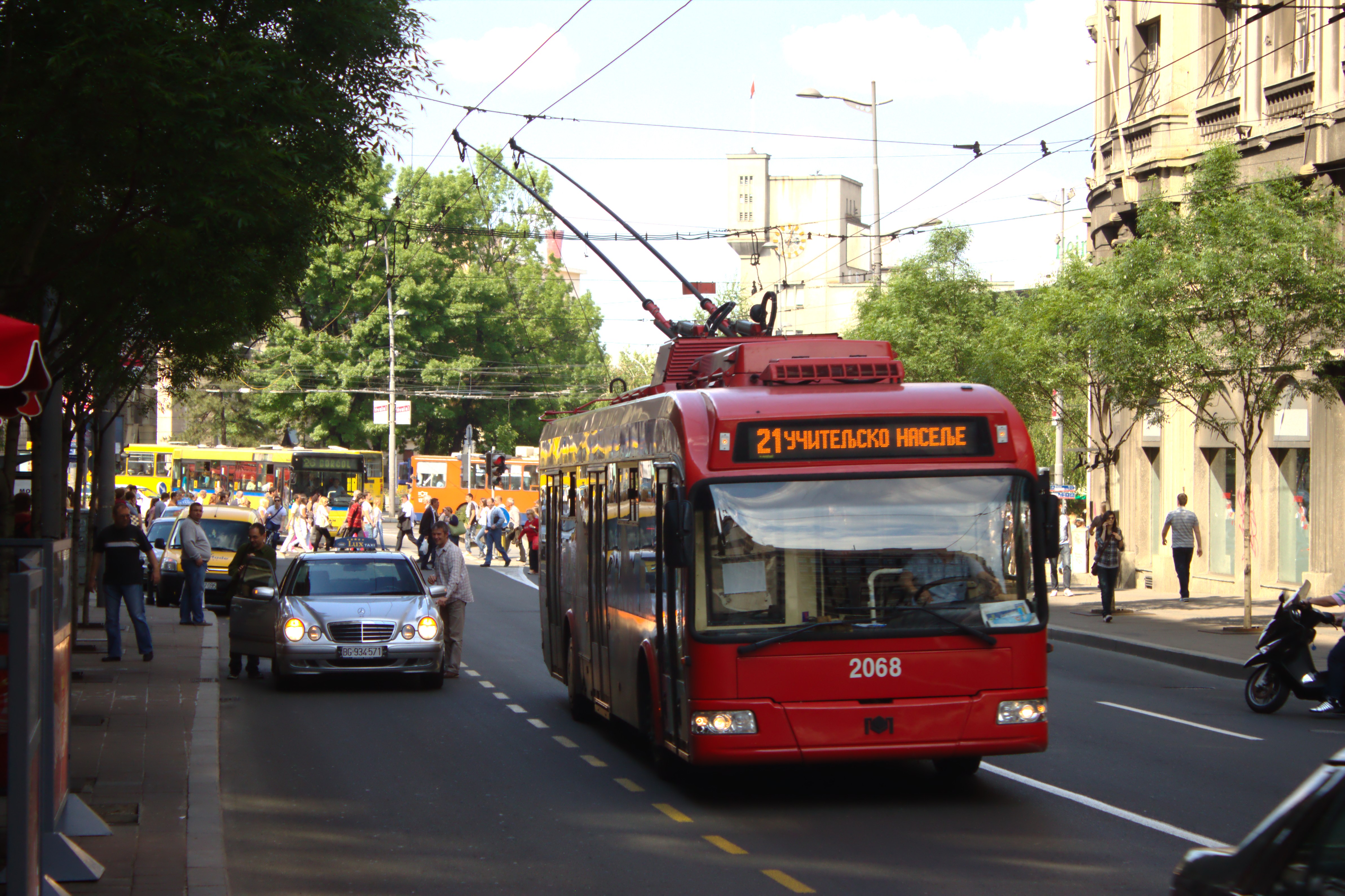 Belgrad Otobüs