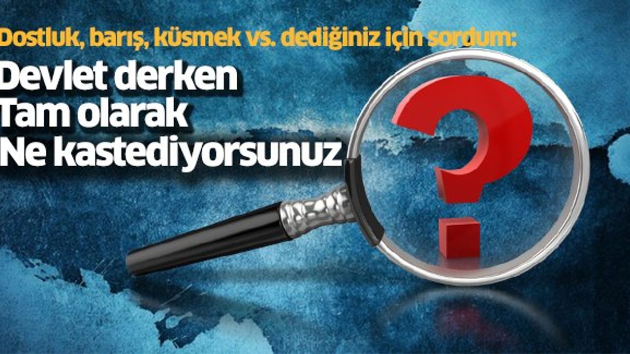 Devlet derken tam olarak ne kastediyorsunuz?
