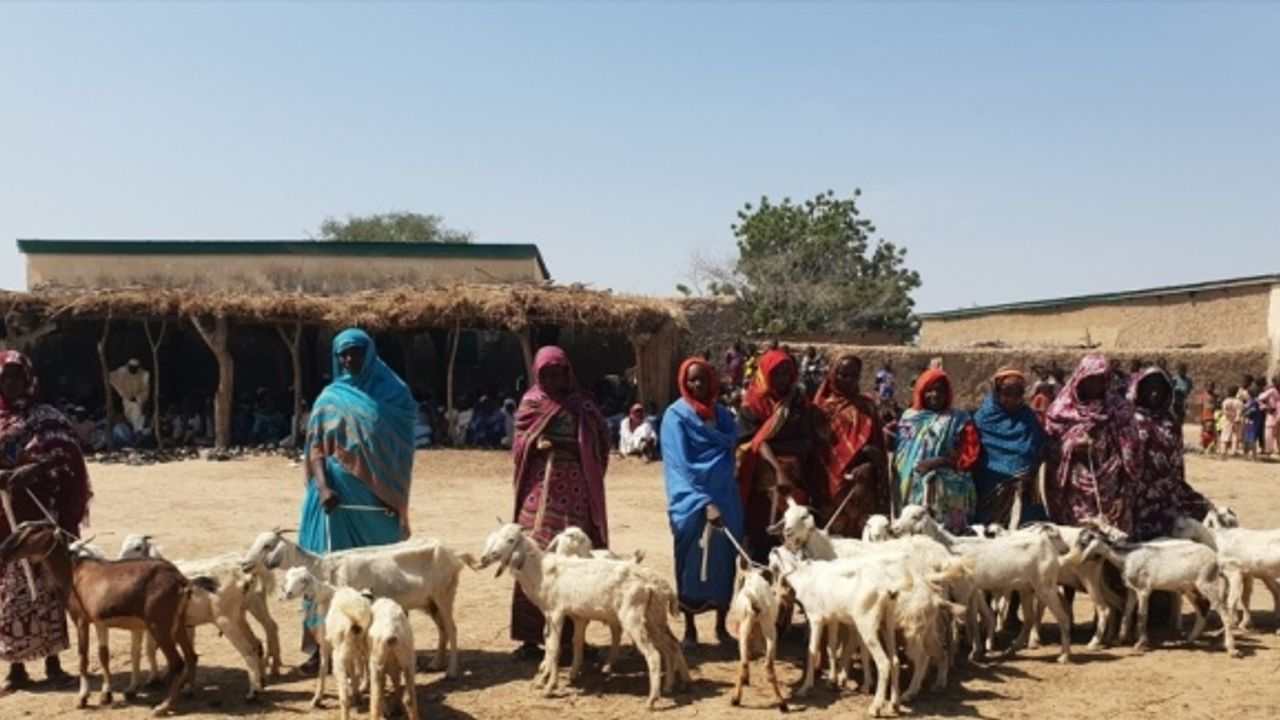 İyilik Derneği, Kamerun'da ihtiyaç sahibi ailelere 2 bin 196 süt keçisi dağıttı