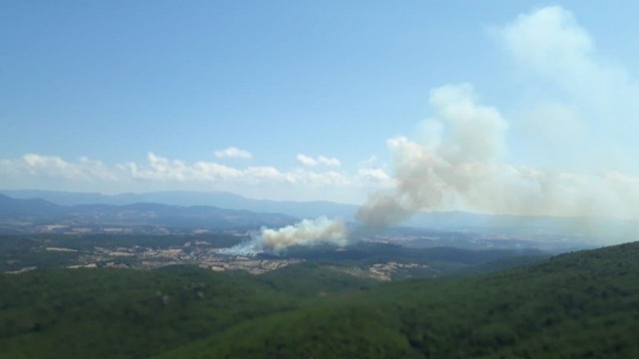 Çanakkale'de çıkan orman yangınına müdahale ediliyor