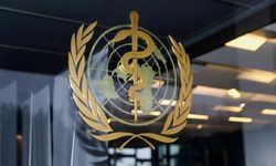 Dünya Sağlık Örgütü: Haiti sağlık sistemi çöküşün eşiğinde