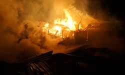 Kastamonu'da 2 ev alev alev yandı: 22 büyükbaş hayvan telef oldu