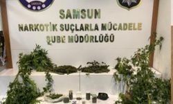 Samsun'da narkotik operasyon: 19 gözaltı