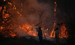 Vali Aktaş: Yangında Pazarlı köyü tedbir amaçlı boşaltıldı 