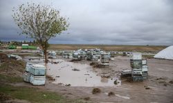 Diyarbakır'da sel tarım ve hayvancılıkta zarara yol açtı