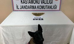 Kastamonu’da uyuşturucu operasyonu: 3 gözaltı