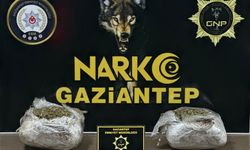 Gaziantep’te 1.5 kilogram skunk ele geçirildi