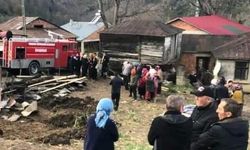 Trabzon'da çıkan yangında 12 hayvan telef oldu