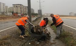 Siirt çevre karayolunda temizlik çalışması başlatıldı  