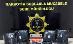 Kapıkule'de uyuşturucu operasyonu: Tır sürücüsü tutuklandı 