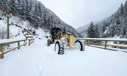 Gümüşhane'de kar nedeniyle 27 köy yolu ulaşıma kapandı