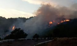 Milas'ta yangın: Mandıra hurdalığa döndü 
