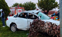 Şanlıurfa'da refüjdeki ağaca çarpan otomobildeki 4 kişi yaralandı.