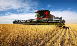 TÜİK açıkladı: Tarım-ÜFE yıllık  yüzde 62,56 arttı 