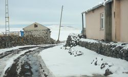 Erzurum, Kars ve Ardahan'da soğuk hava etkili oluyor