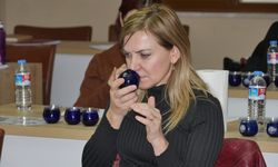 Edremit'te İspanyol uzmanlar zeytinyağı tadım eğitimi veriyor