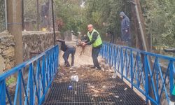 Bodrum'da çöp yığınları taşkına neden oluyor 