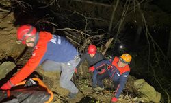 Artvin'de orman işçisi uçuruma yuvarlanarak öldü