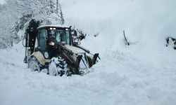 Rize’de 31 köy yolu kar nedeniyle ulaşıma kapandı   