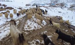 Erzincan’ın köylerinde kış mesaisi başladı   