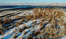 Ağrı'da kış manzarası havadan görüntülendi 
