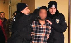 Organize suç örgütü üyesi tutuklandı 