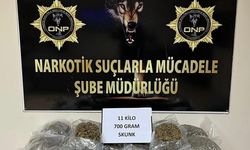 Osmaniye'de tırda 12 kilogram sentetik uyuşturucu ele geçirildi