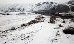 Ağrı ve Ardahan'da kar etkili oldu