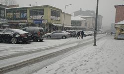 Varto’da kar yağışı  