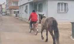 Bursa'da atı bisikletine bağlayarak götürdü   