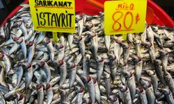 Marmara’da olumsuz hava koşulları balık fiyatlarını fırlattı