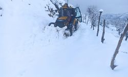 Sason’da kar nedeniyle ulaşıma kapanan köy yolları açılıyor   