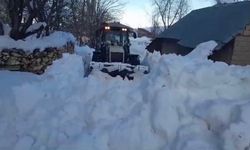 Yüksekova’da karla mücadele çalışması sürüyor 