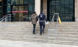 Gümüşhane’de göçmen kaçakçılığı operasyonu: 1 kişi tutuklandı   