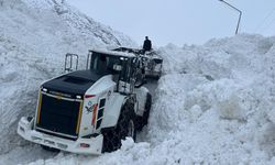 Hakkari-Çukurca Karayoluna düşen çığ temizlendi   