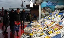 İstanbul'da beklenen kar yağışı ile balık fiyatlarında düşüş bekleniyor 