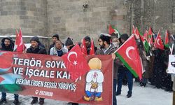 Erzurum’da hekimler Gazze için yürüdü   