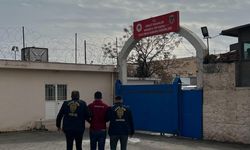Mardin'de firari 2 hükümlü tutuklandı  