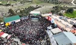 Mersin'de '2.Nergis Şenliği' düzenlendi   