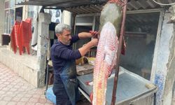 Osmaniyeli balıkçıya 37 bin TL'lik yayın balığı piyangosu 