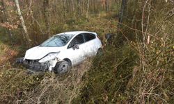 Otomobil ormana uçtu: 1 yaralı  